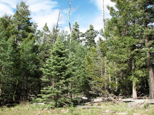 Lot 1202  AF Chalets Unit 2